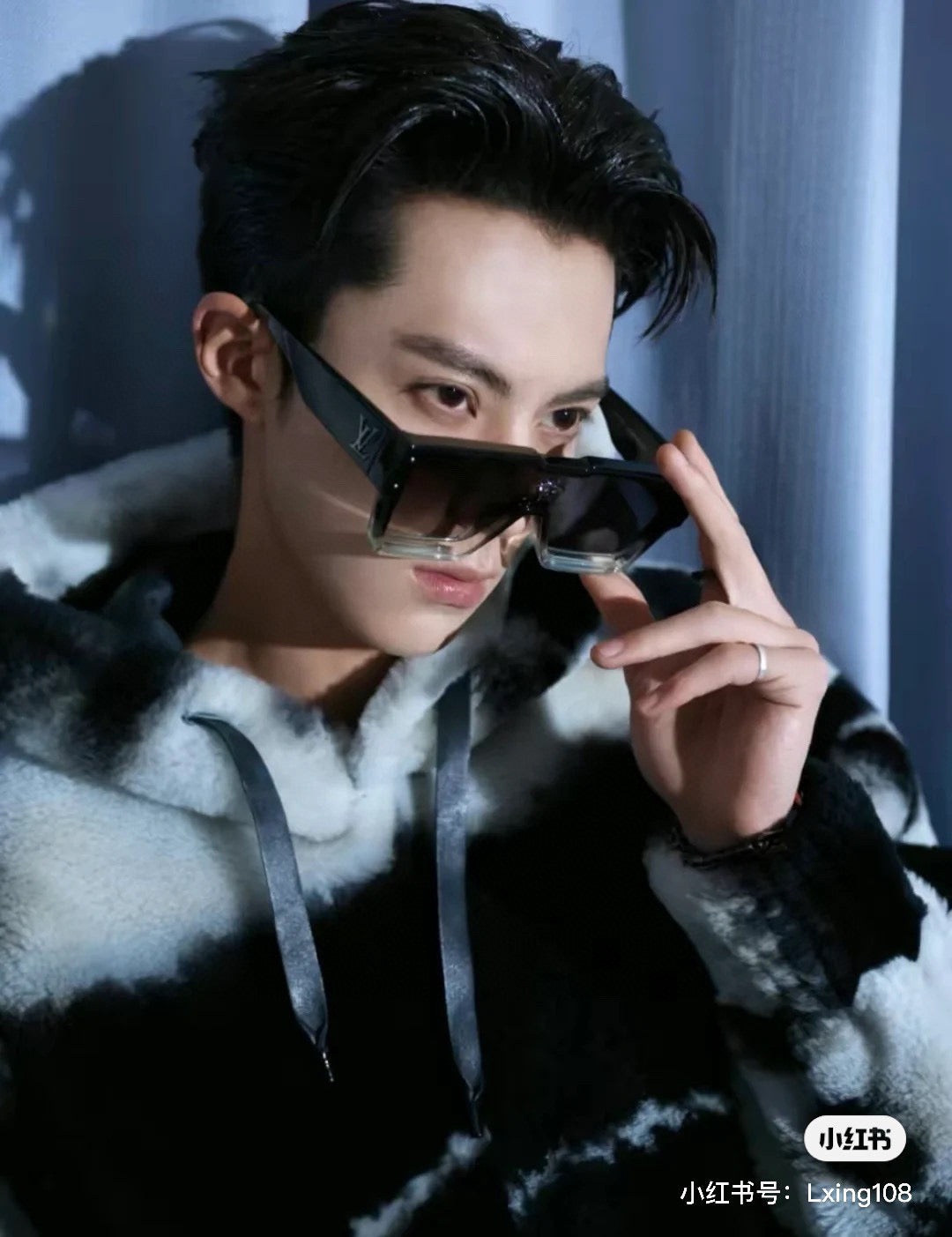 Sunglasses / Model:1486