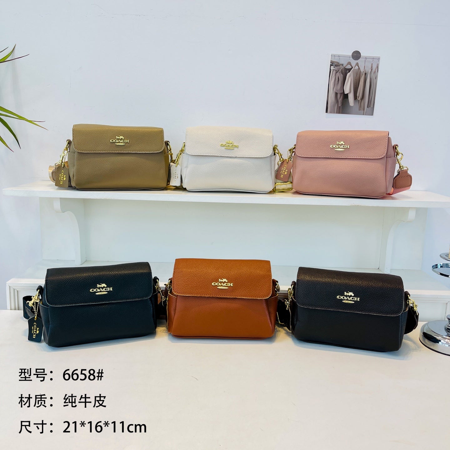 Bag / Quality: 3A / Model:6658