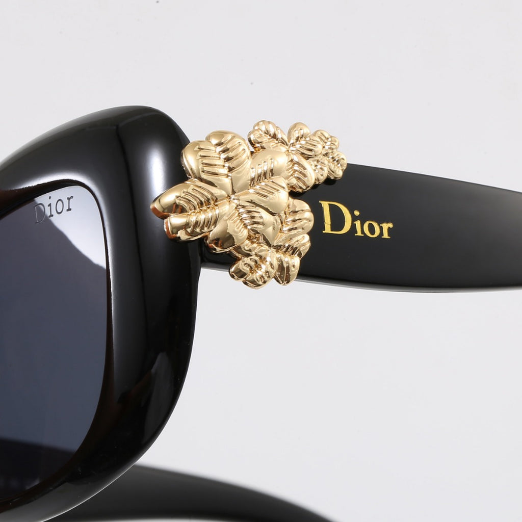 Sunglasses / Model:6040