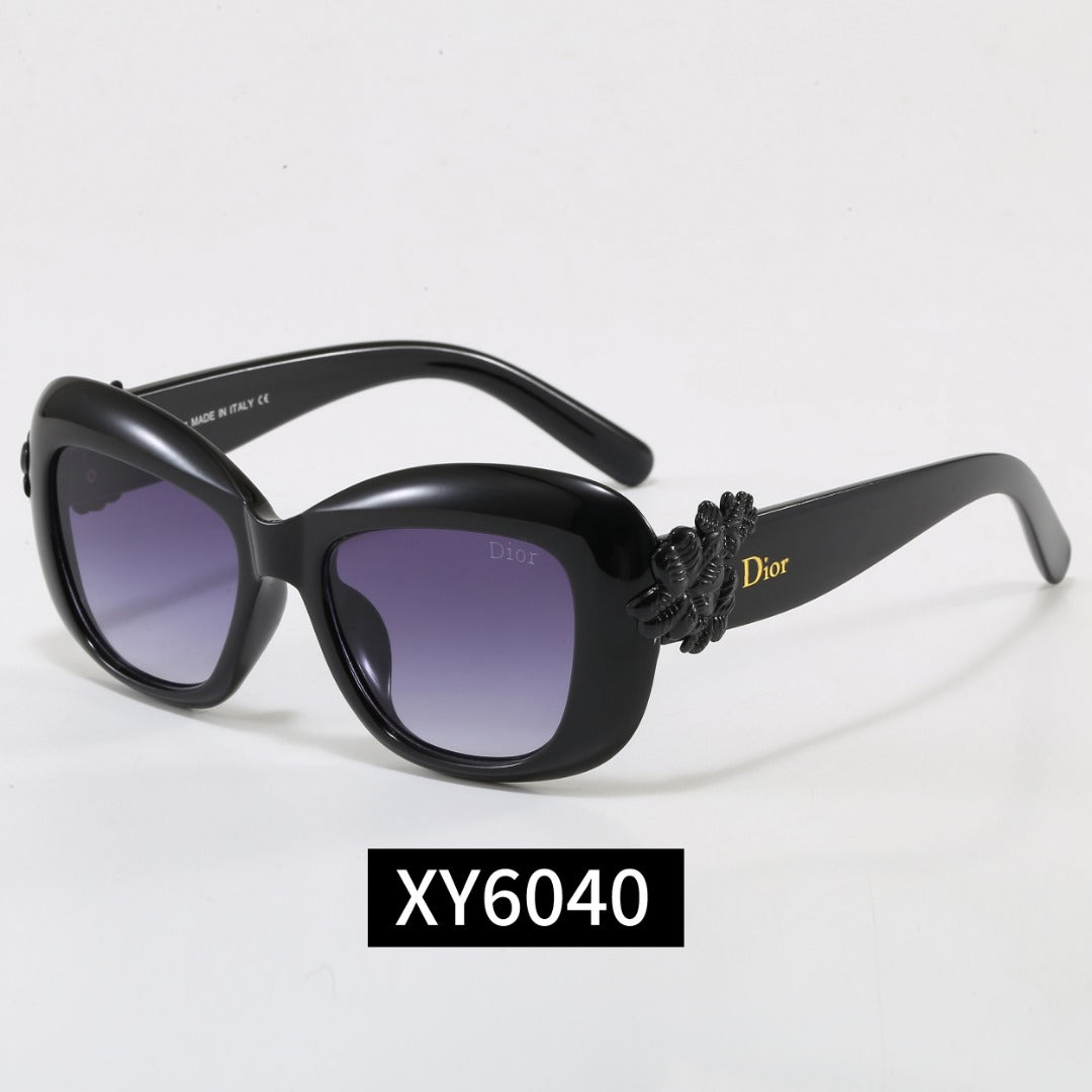 Sunglasses / Model:6040