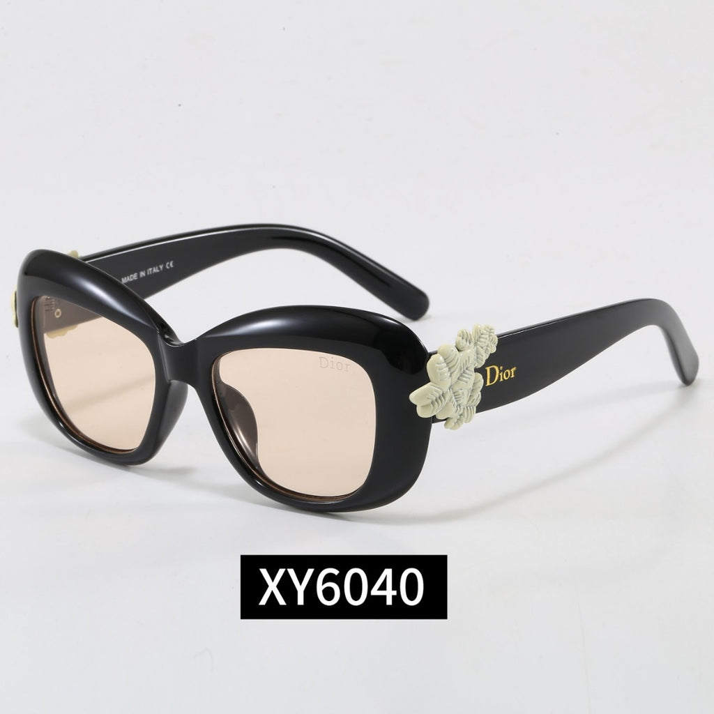 Sunglasses / Model:6040