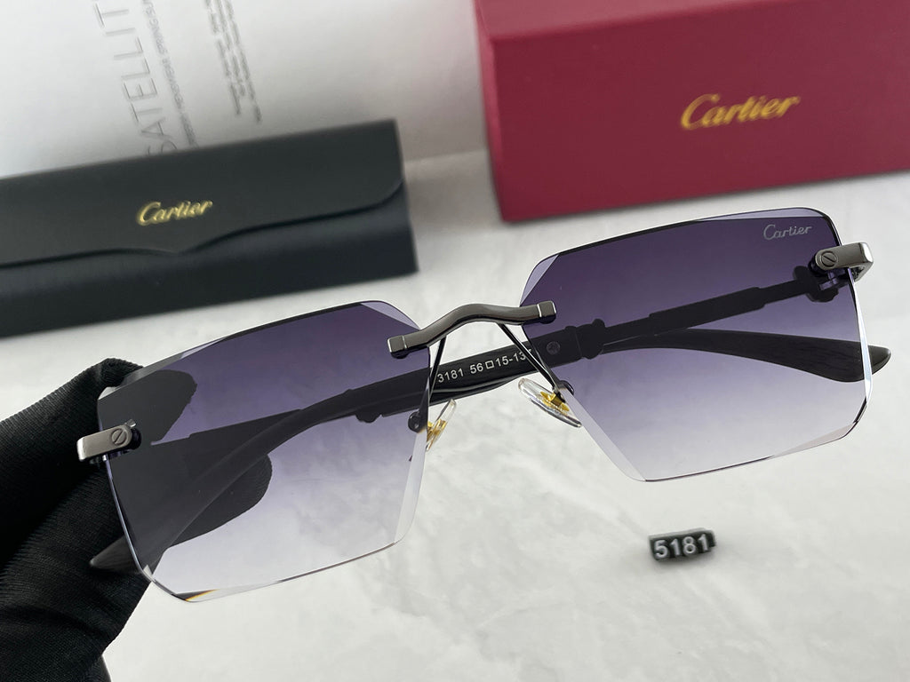 Sunglasses/Model:5181