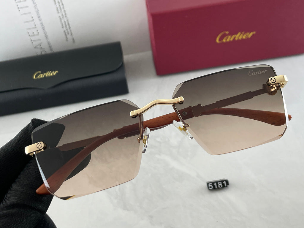 Sunglasses/Model:5181