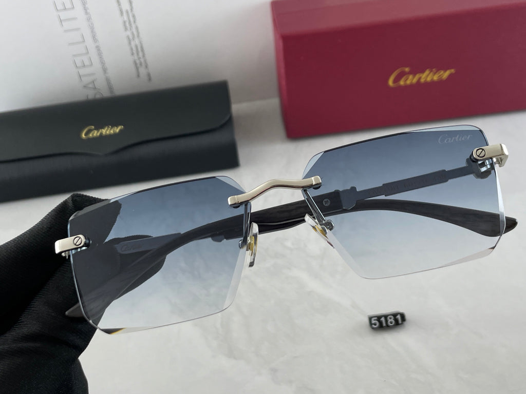 Sunglasses/Model:5181