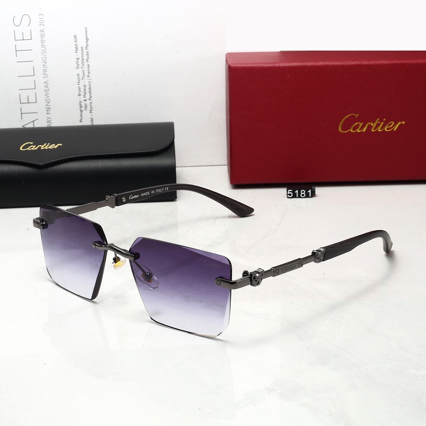Sunglasses/Model:5181