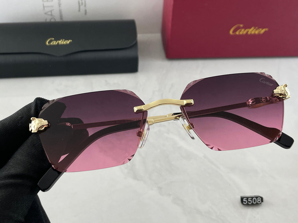 Sunglasses/Model:5508