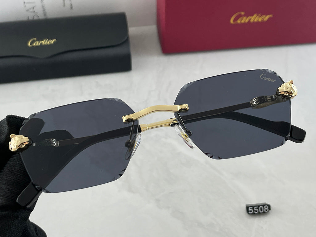Sunglasses/Model:5508