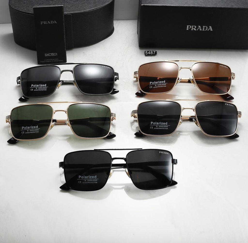 Sunglasses/Model:5487