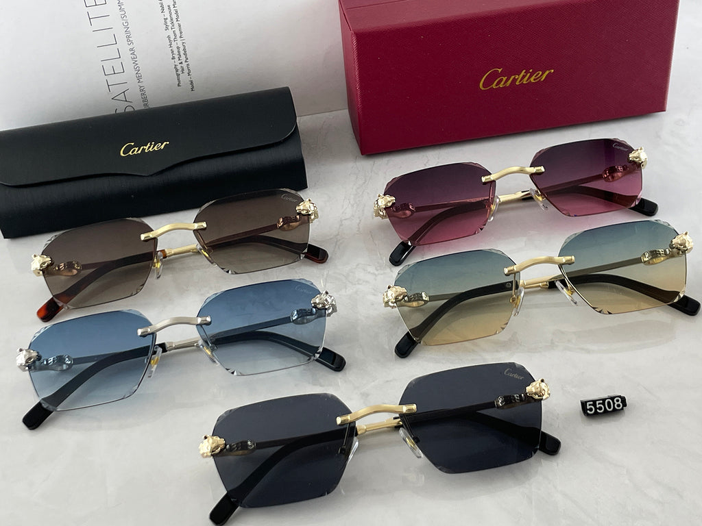 Sunglasses/Model:5508