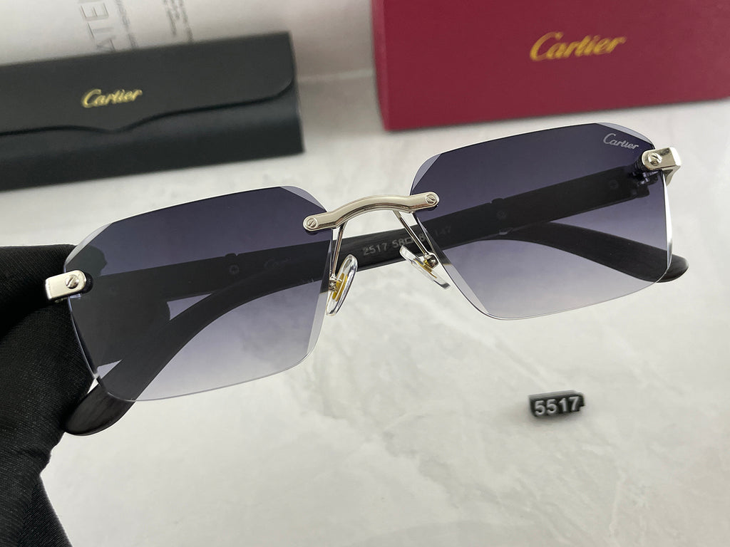 Sunglasses/Model:5517